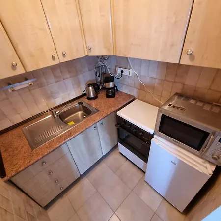 Sunrise Seaview 公寓 托雷维耶哈